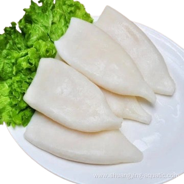 squid loligo